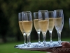 annatom-slid-099_cocktail-champagne