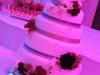 1207_myr_dinner_wedding-cake_ld